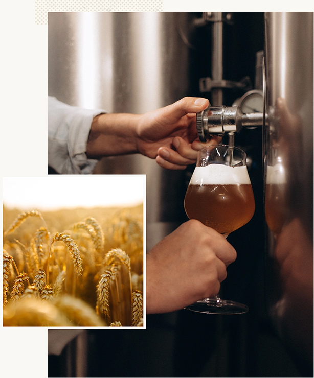 Brewmaster pouring beer into glass