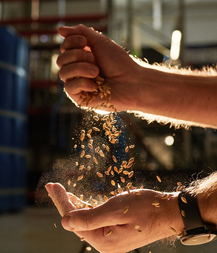 Filtering grain through hands
