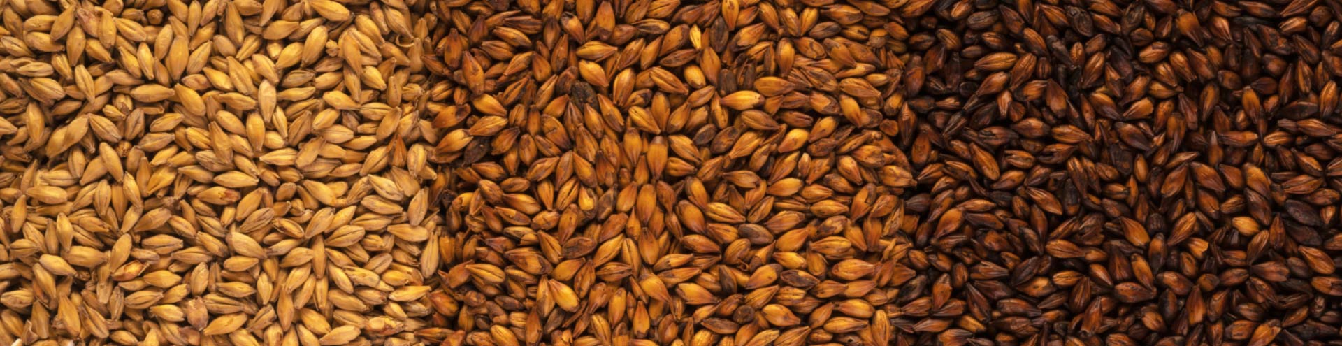 Various malts hero