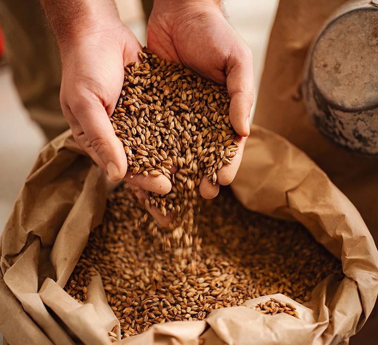 Holding grain in hands mobile