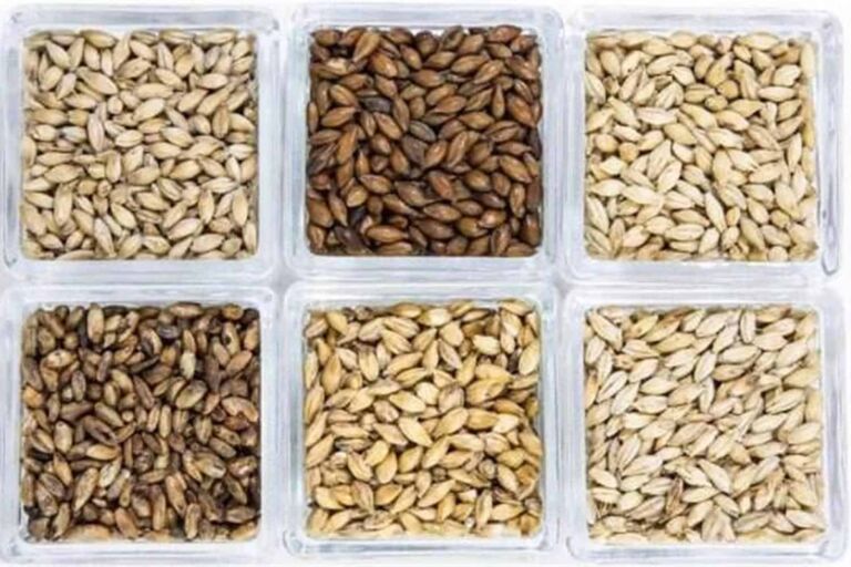 Malt supply 768x512