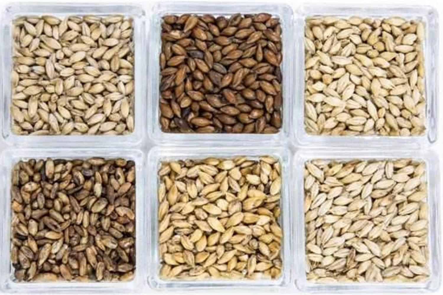 Malt supply
